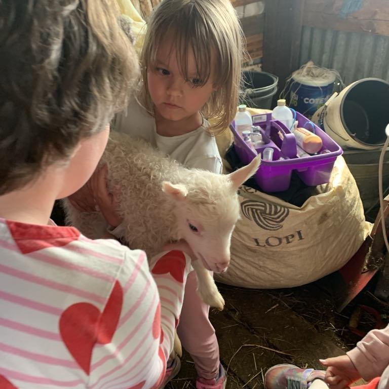 dca6c08e-f2d3-40b4-9aa9-c15ee476a0c3