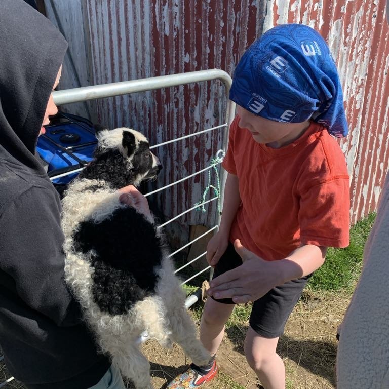 e0be3ed5-e7b9-423e-89fd-9d55001c5330