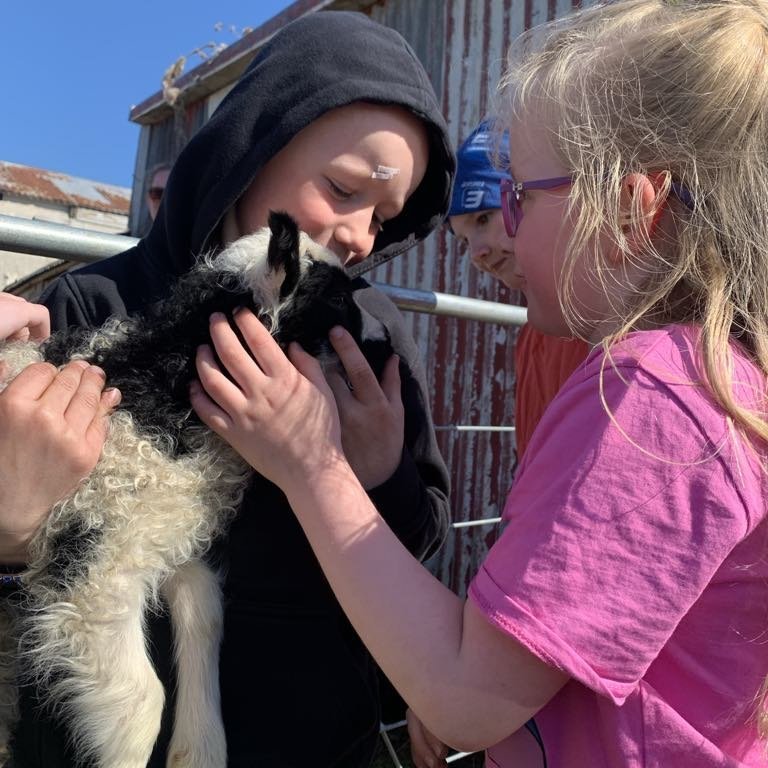 e161eb2e-423a-47fc-833c-c33a5c0a2ce1