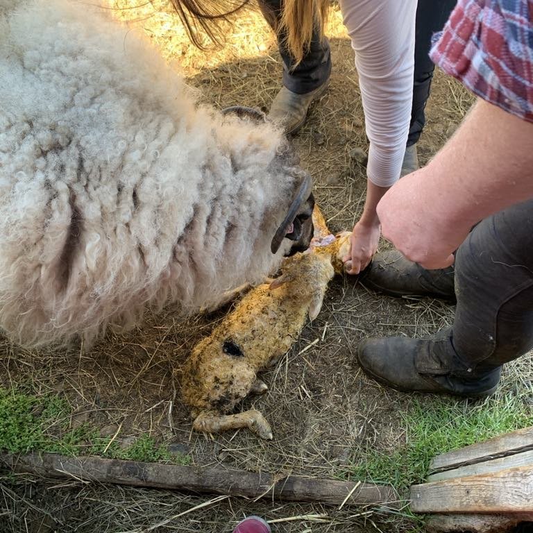 e6618506-f0f3-4bc8-8e2c-53136c282fae