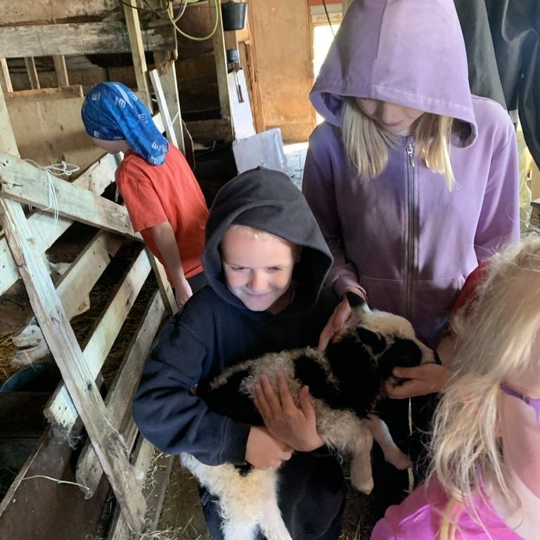 efa1686e-1565-4089-a6df-ed04cb987022