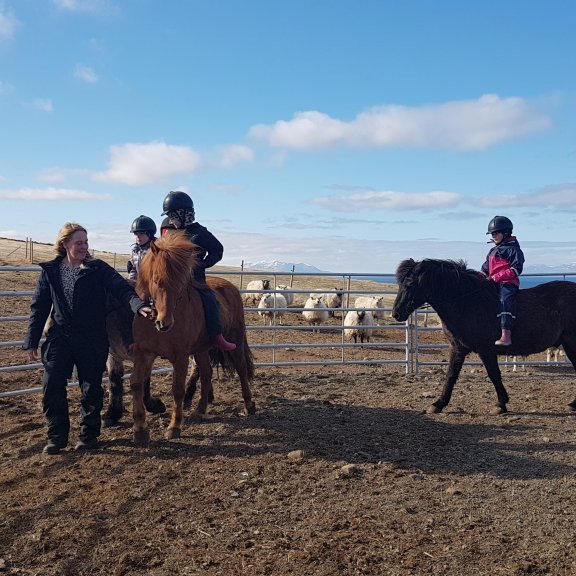 186540461_4302985196399036_8365077380949653469_n