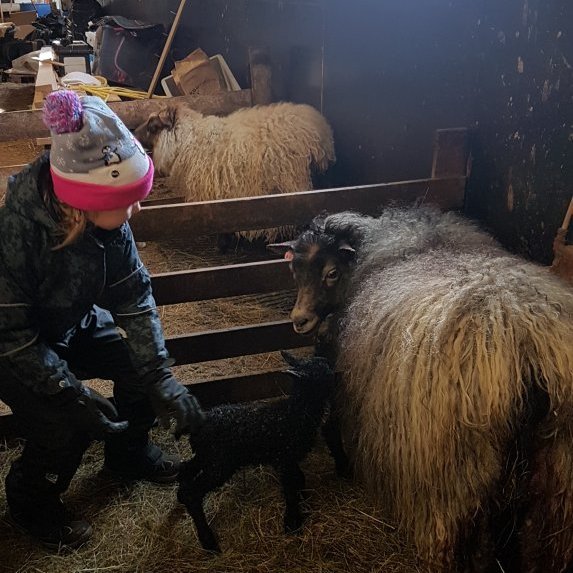 186913314_309048307361724_7363427915657475981_n