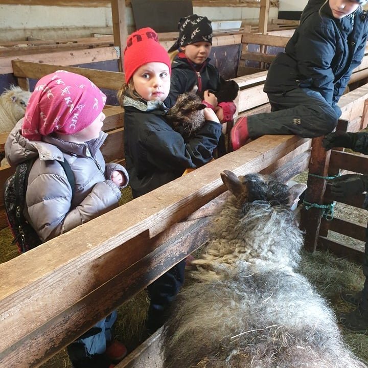 187342459_233541405239232_8073885897184764958_n