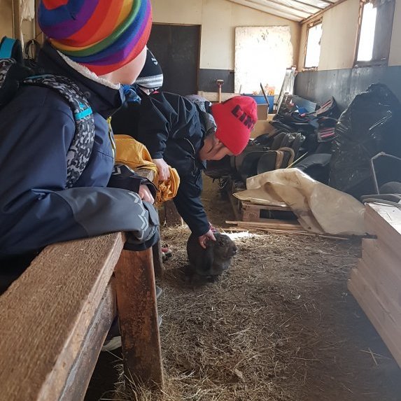 187474554_809916679620696_5663287251217389107_n