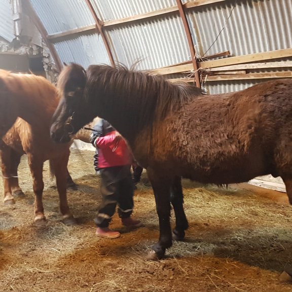 187653603_790218521699093_6798381059840778070_n