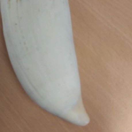 154027106_1095054070989842_4041968908435444413_n