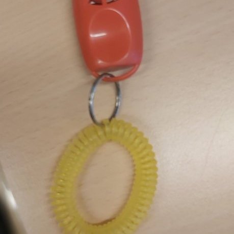 154227376_2862414423979378_5573866060535977536_n