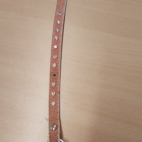 154402572_1383371708662787_6372601231969729968_n