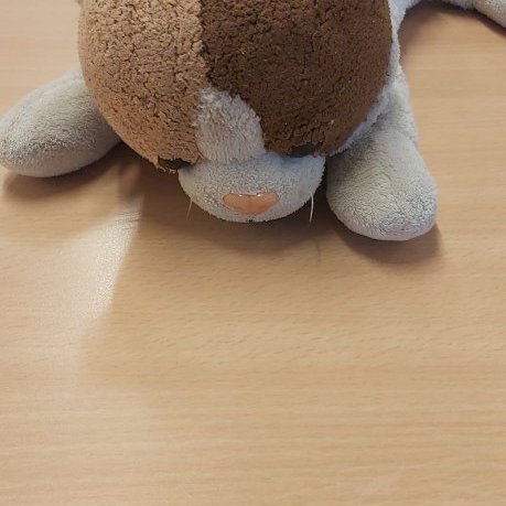 154435865_1181456655642263_7198469837058820660_n