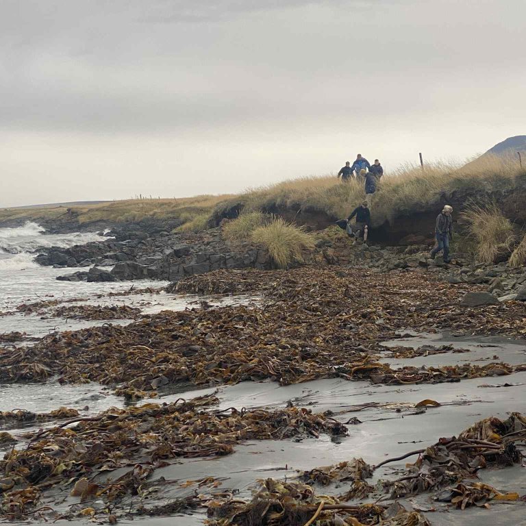 403a7f87-68ee-4c51-a45a-9d6aefed7d0b