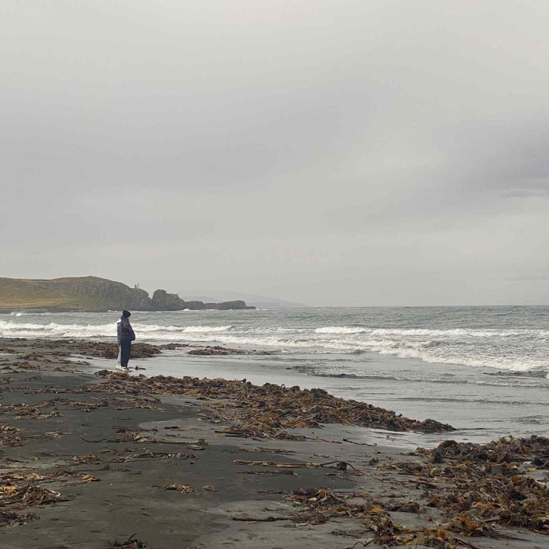 e7b18a22-d2a4-45e0-8816-5dcf9557324d