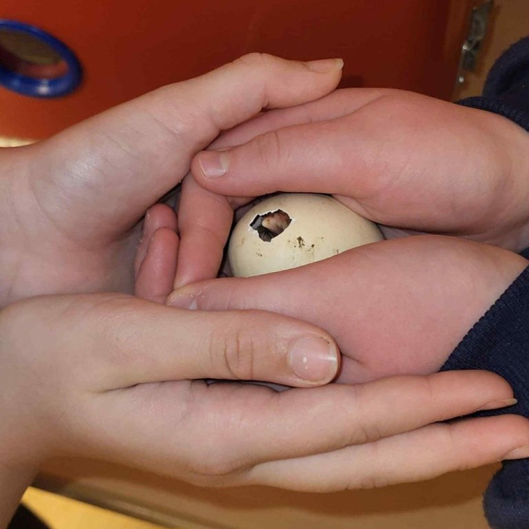 4f7c0179-d909-49ab-849c-c8d8c4b1fd36