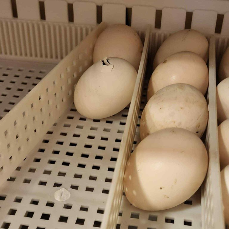 879a67d8-83ce-4cac-b4a6-514be91aae3e