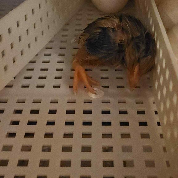 bd254e5a-c78c-45f9-bee3-f6bd64d58d5c