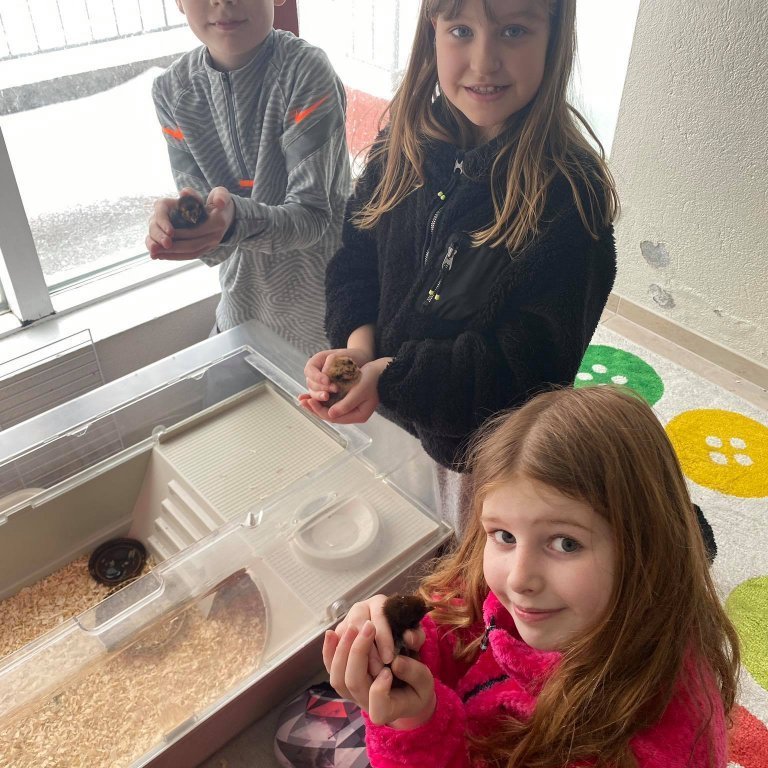 159369672_705628990111781_7568251431710144832_n