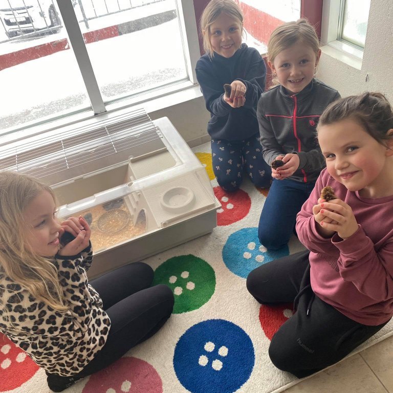 159515770_1936118896528385_310420580711783139_n