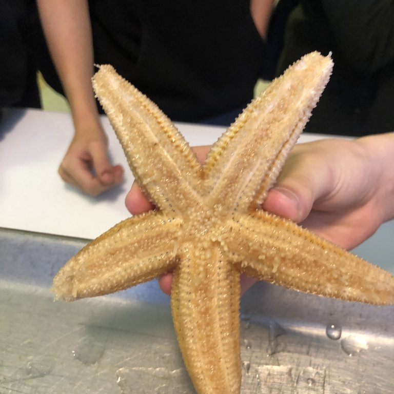 12db0e0f-1588-4fce-a633-70e6e7185b9b