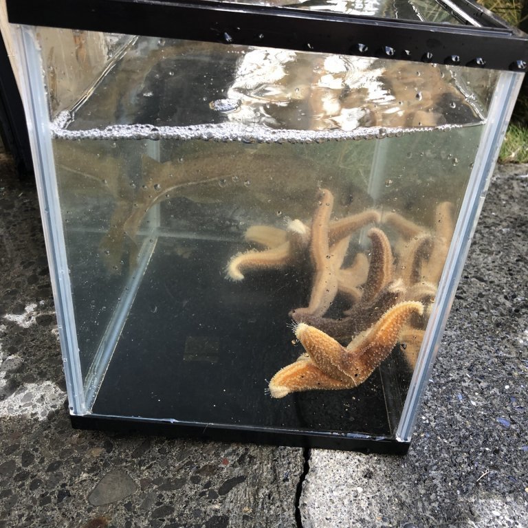 17ce6c04-0535-49f3-bdcc-e85b815afbb9