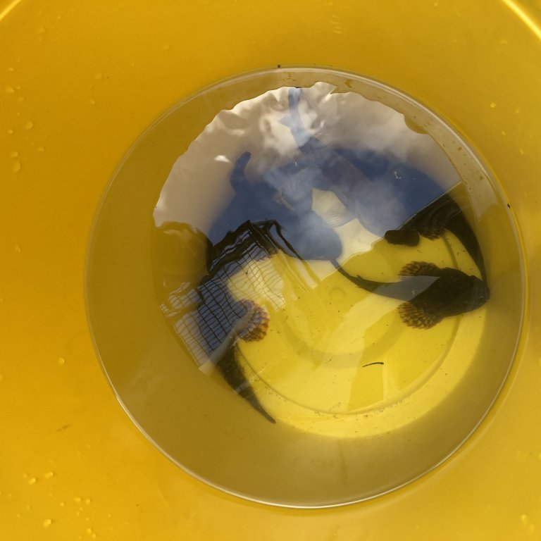 1a14dfbd-0943-4bde-8479-e19756b7d68d