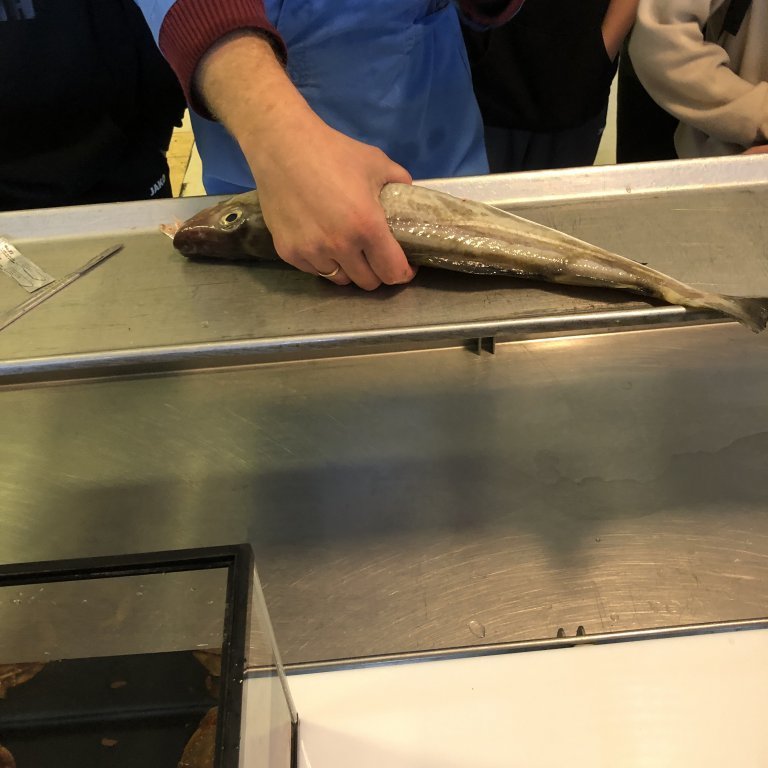 20a05f29-1dc2-4196-a3fe-416e8f5d24c9