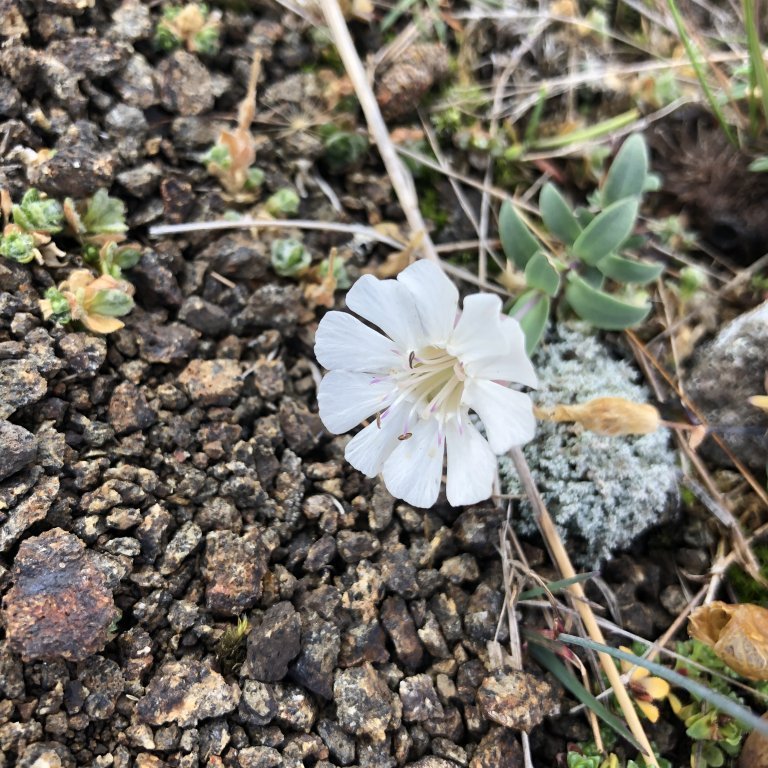 26a631df-bfc6-4af2-863a-97080a67912d-copy