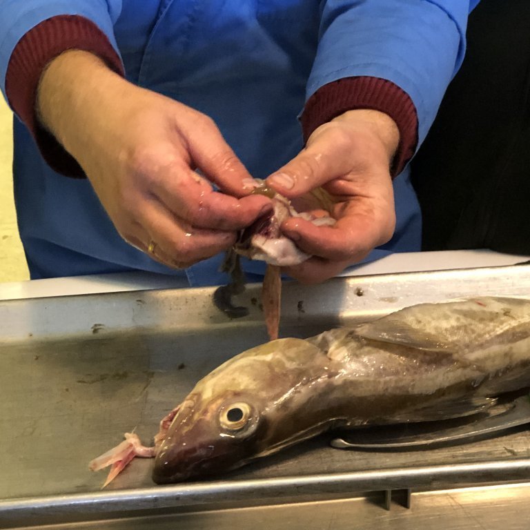 296b6f90-9a4d-41de-8074-23b21b0a12d8-copy