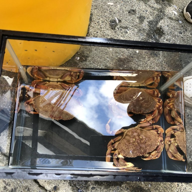 3a47b270-5f78-4339-900d-14e8aacb8071