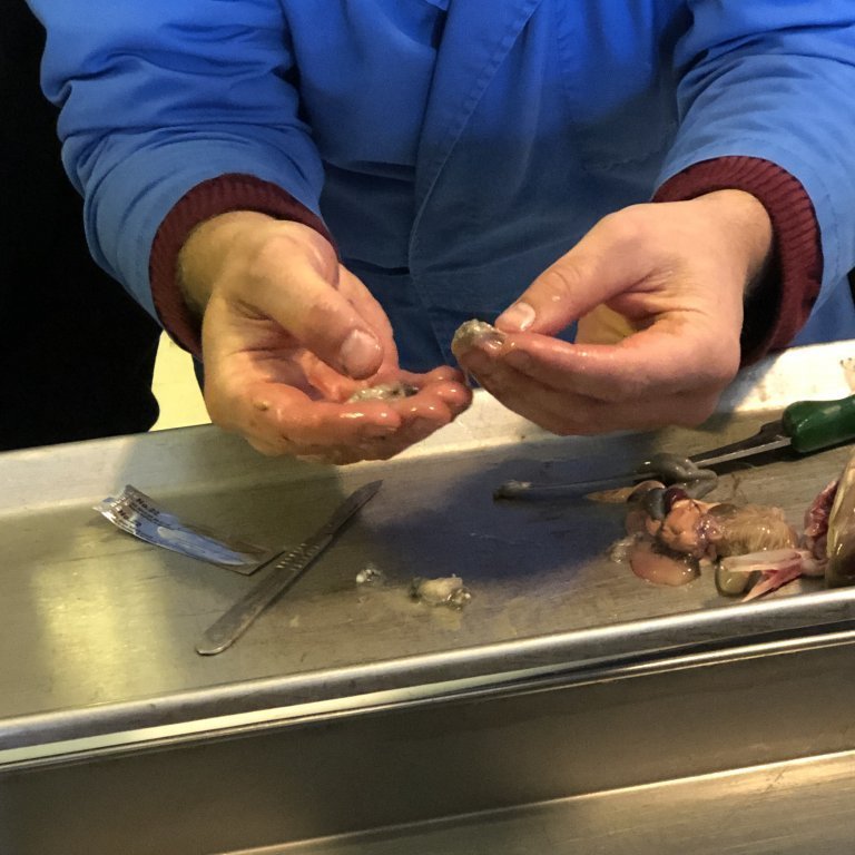 4bba15fd-40ad-448e-be14-d2d448a9b845