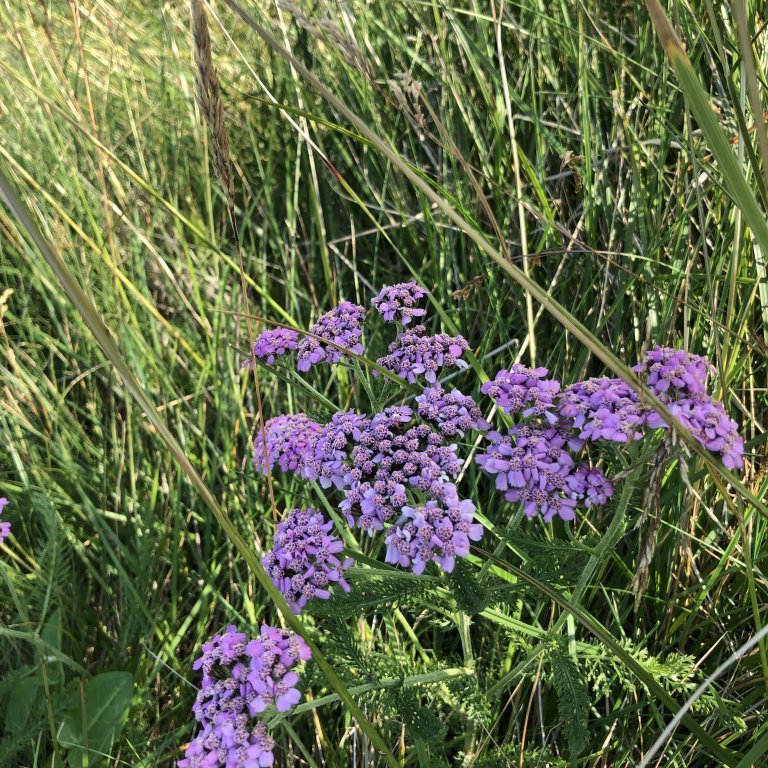 4cd3efee-d8c5-464f-aa71-c668266bd5ec