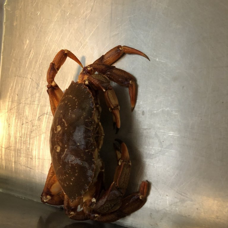 4e067893-cfa6-4410-becd-ef8528ed69ac