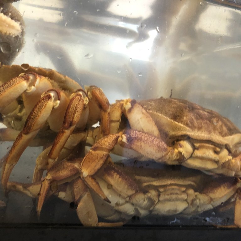 9162bc59-3365-4ac9-9685-d2bb8e8b7a10-copy