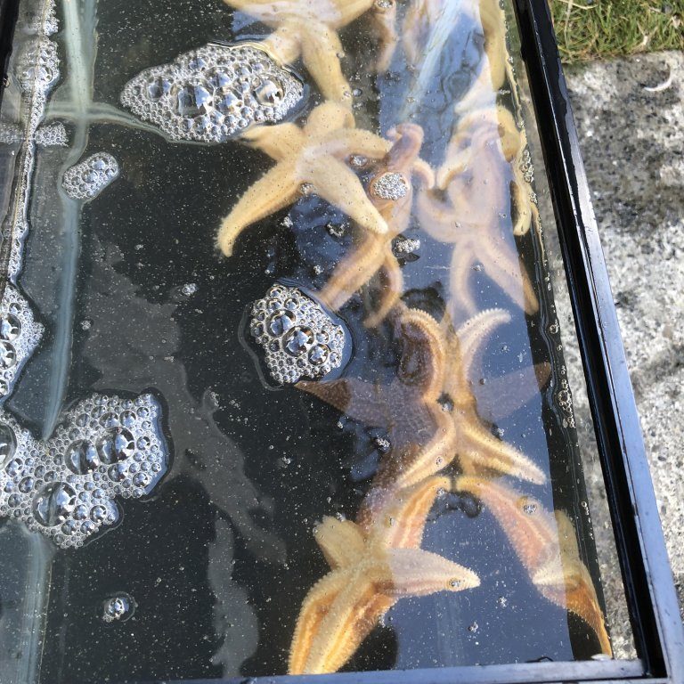 935b3a7d-b5e6-4ef5-a09e-7df2bd5b3cab-copy