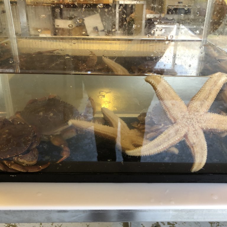 e59b12e6-236f-462e-b2eb-f48e09468d21-copy