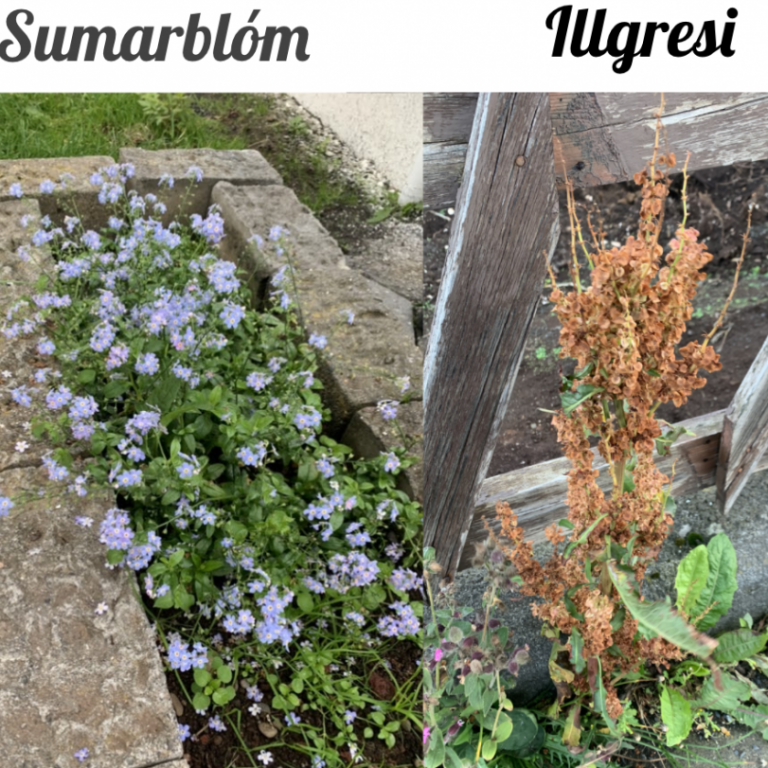 screen-shot-2021-09-17-at-132458-copy