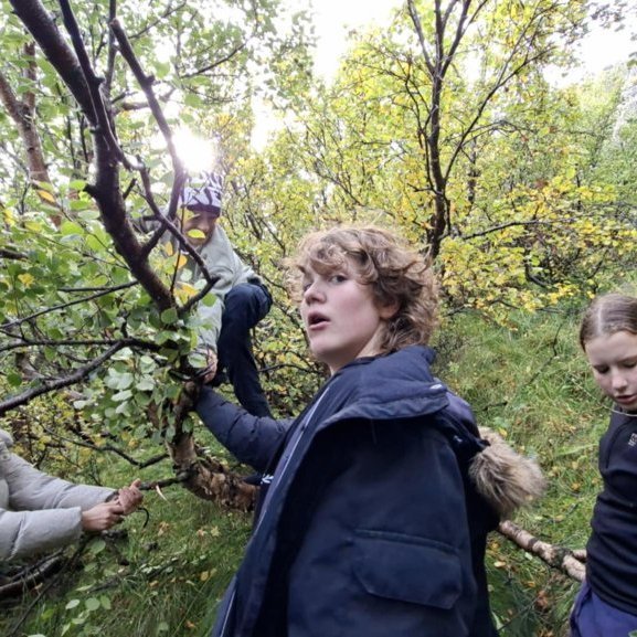 20b941ce-e33d-4d23-a9bf-3336bba3f1b1