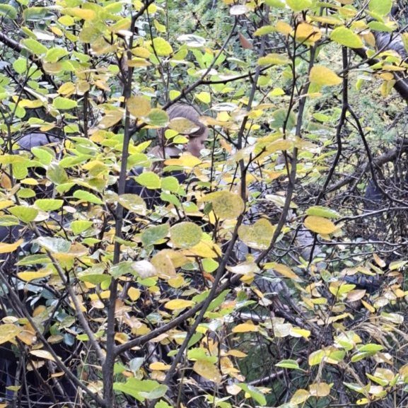 a4abeeb9-ad72-408b-afa4-63981b402a84