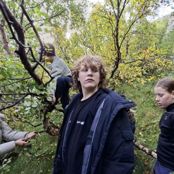 d6d0ec73-60b3-40e7-9361-6d5e9f350066