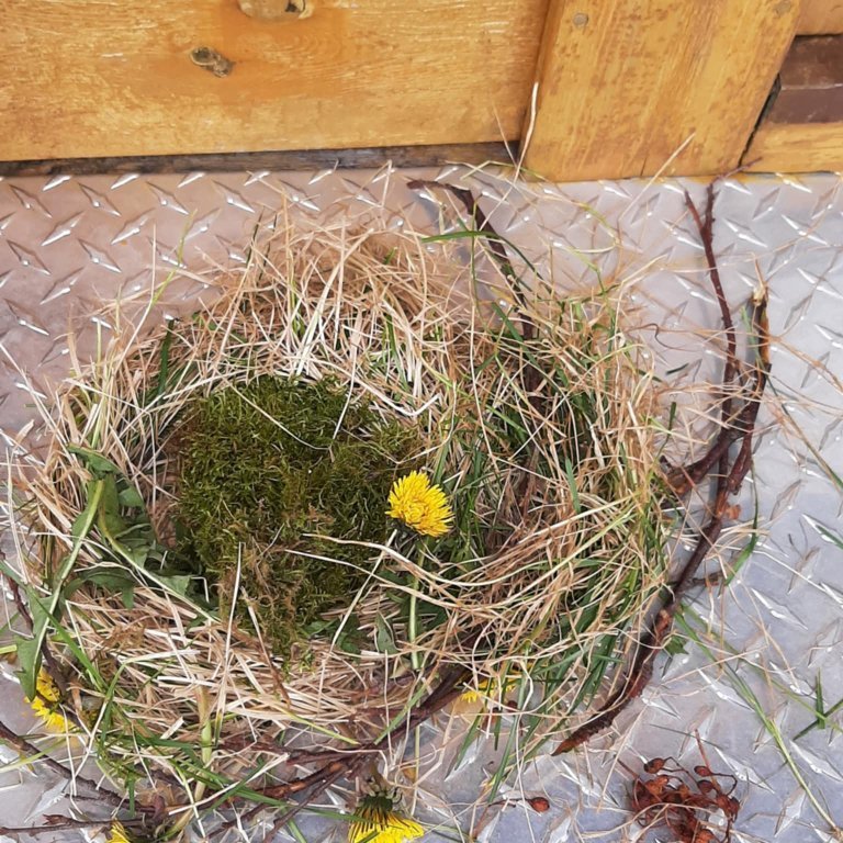 105c7f1f-2ee9-45ae-853a-f81610d05354