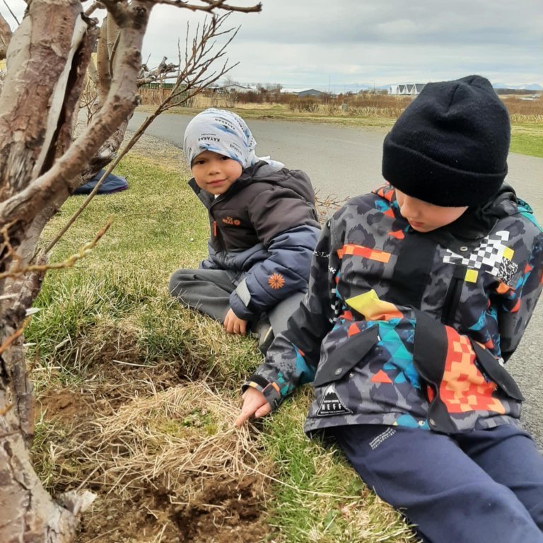 15c25f3d-f518-4a25-8d27-340bbbc34b9b