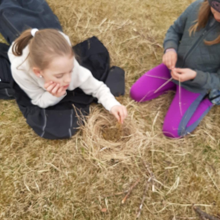 2b91ad1f-ebe2-48db-80e5-f2a191725269