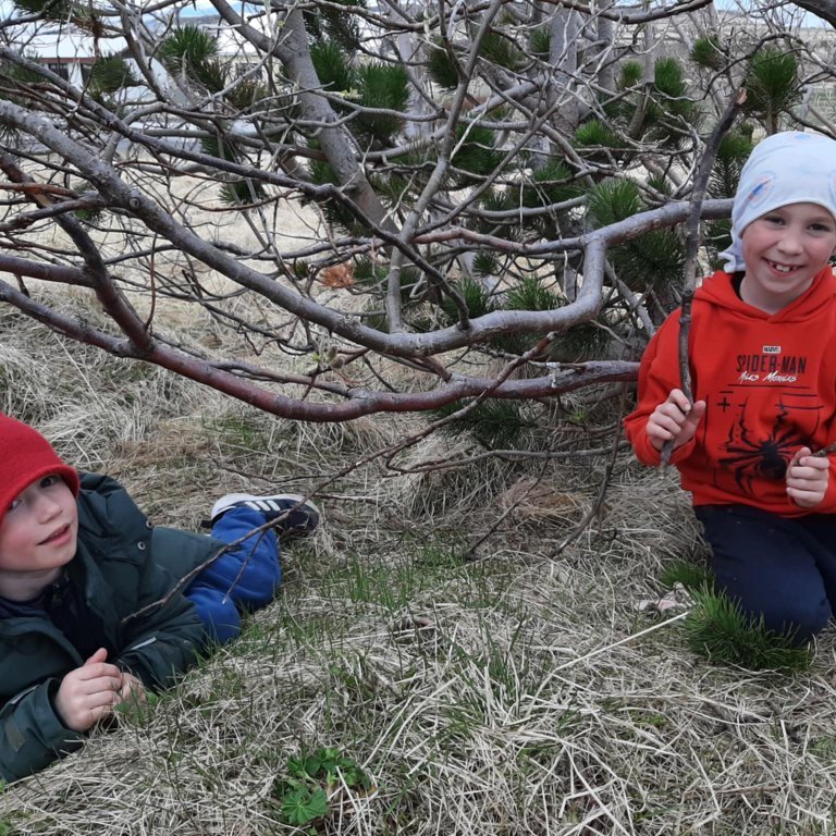 b6e2d494-550d-4b13-b499-4eb8401318f8