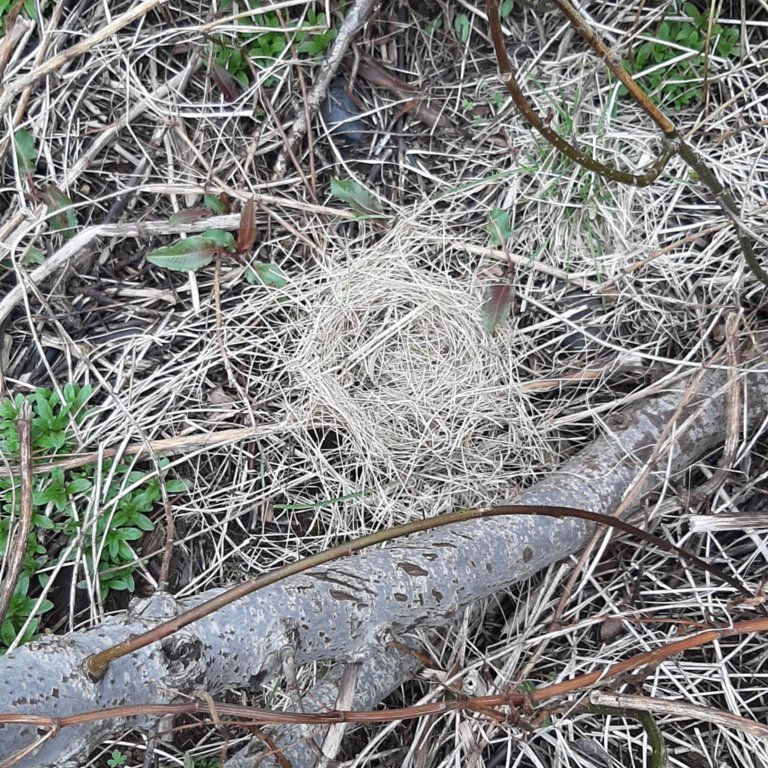 dc76fb3f-b1bf-439c-ac77-375ee8df6104