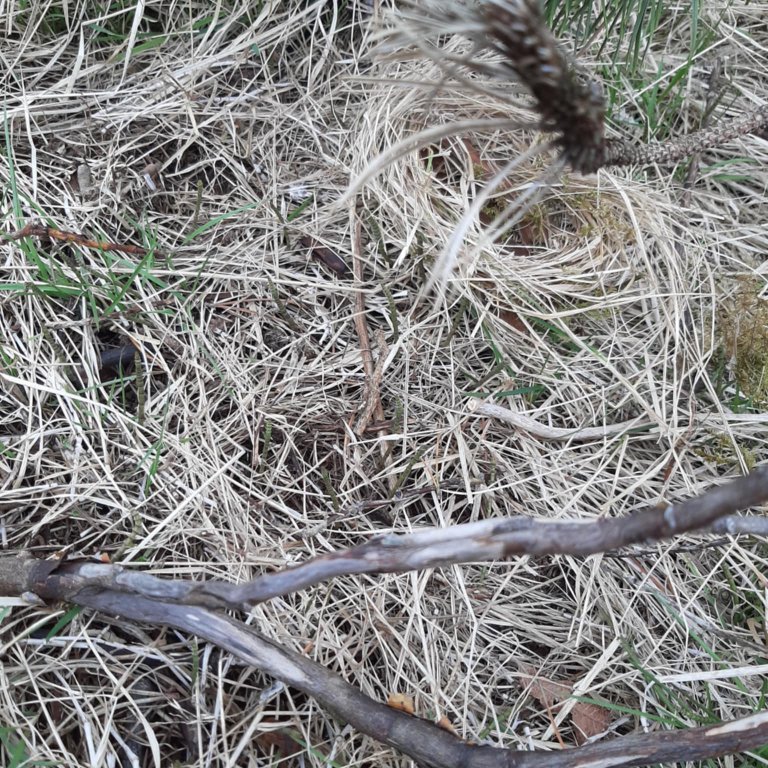 f47ae1ad-0a8d-4490-8a11-dff5f7f0dcb7