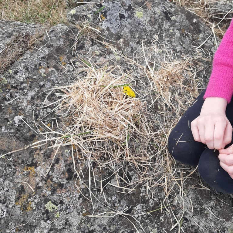 fa4163b1-0cd5-482c-9668-e79182bf71c8