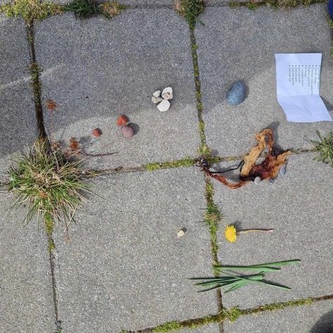 10188179-53ff-4738-9eac-49bee04d4021