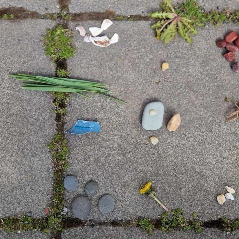 5e2cc518-1397-4d81-ac49-86245bb61aed