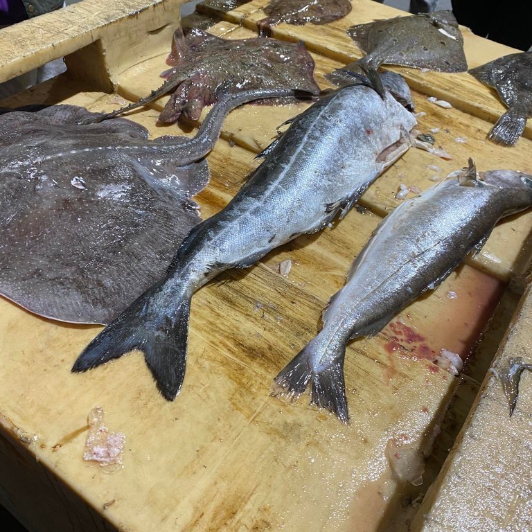 272173802_292287702885877_198966636742907293_n