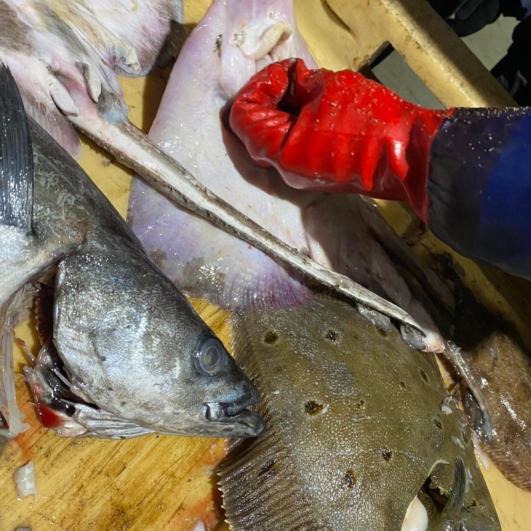 272175088_1091844524710357_2669864599101648518_n