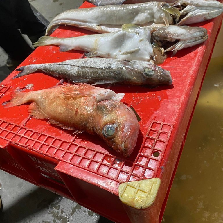 272283569_1102611470535134_1143995765888980406_n